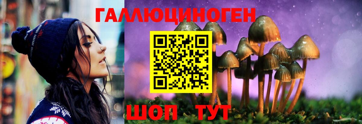 Галлюциногенные грибы прущие грибы Приморско-Ахтарск